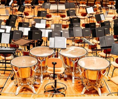 Judging the invisible | pura musica artists